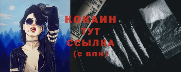 шишки Семилуки