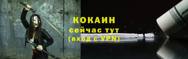 шишки Семилуки