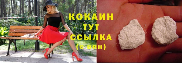 шишки Семилуки