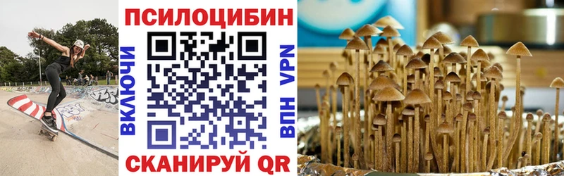 Псилоцибиновые грибы Psilocybe  Купить закладки  Ишимбай 